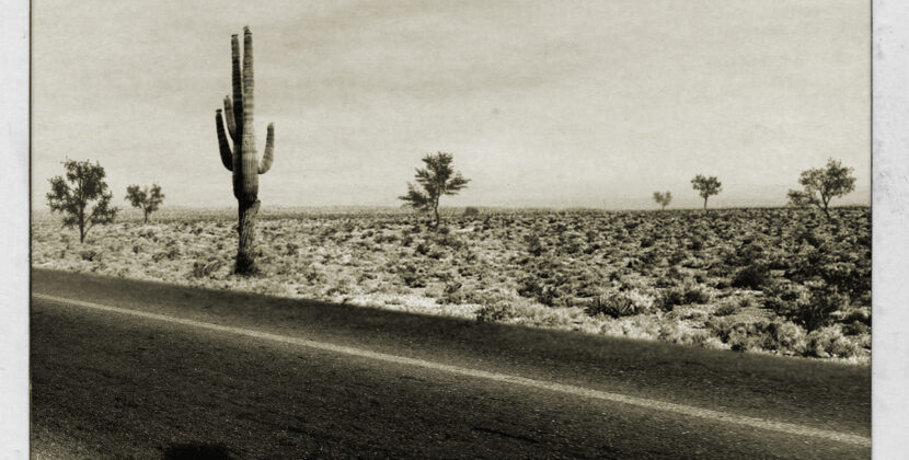 THE HANGMEN set to release “Cactusville”  via Acetate Records on August 23rd