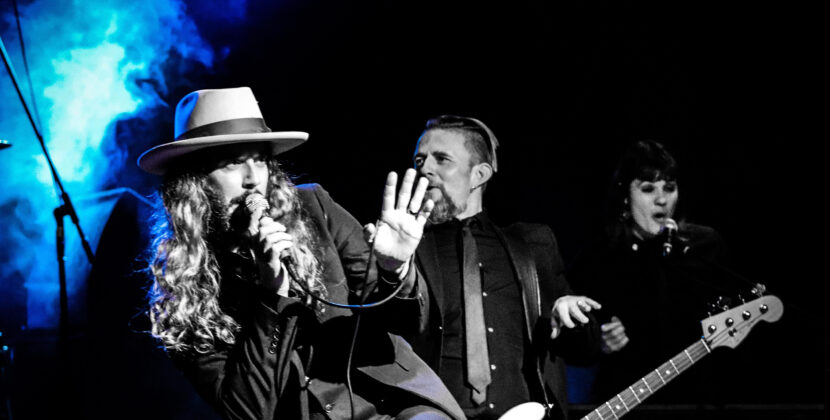 Ryan Hamilton & The Harlequin ghosts Tour Announcement
