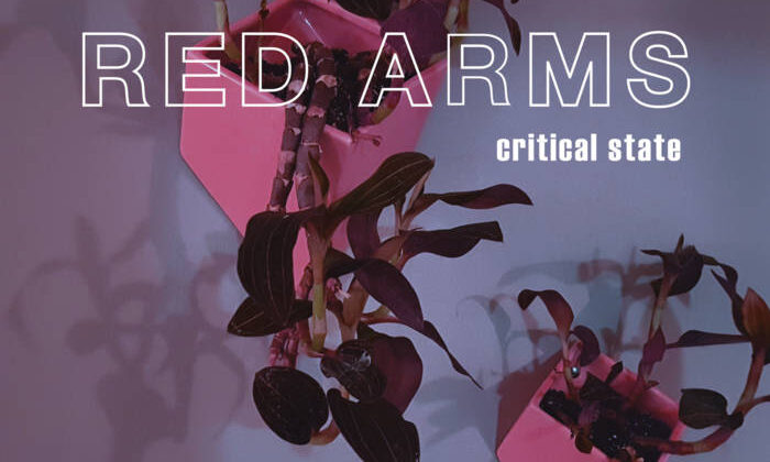 Red Arms – Critical State (Yeah Right!)