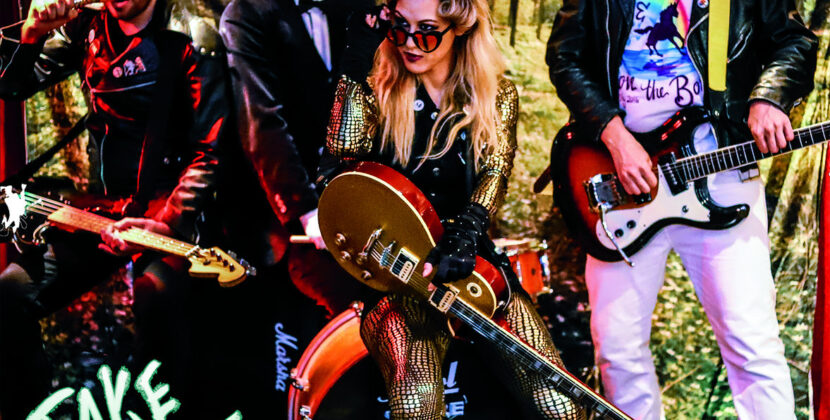 (Stop Worrying &) Love The Bomb – ‘Fake Nature’ (Big Neck Records)