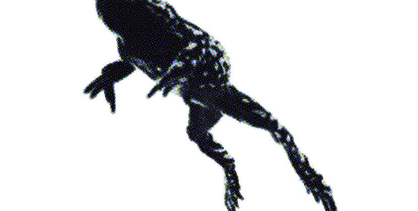 Bravata – ‘Pray For Today’ (Self Release)