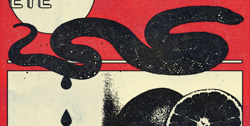 Public Eye – ‘Music For Leisure’ (Drunken Sailor Records / Pop Wig Records)