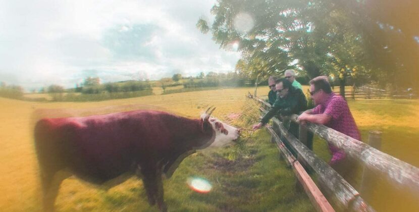 The Damned – ‘The Rockfield Files’ (Spinefarm Records / Search And Destroy Records)