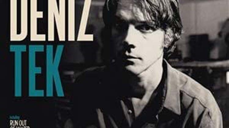 Deniz Tek – ‘Take It To The Vertical’  (Wild Honey Records)