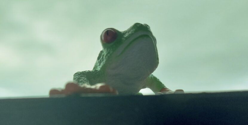 Ming City Rockers – ‘Lime’ (Self Release)