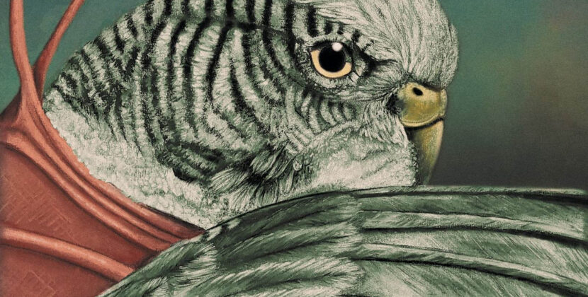 Various Artists – ‘Never Turn Your Back On A Friend – 50 Years Later’ (Pale Wizard Records)