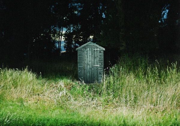 FRANK CARTER & THE RATTLESNAKES NEW ALBUM