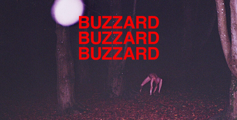 Buzzard Buzzard Buzzard new album and video