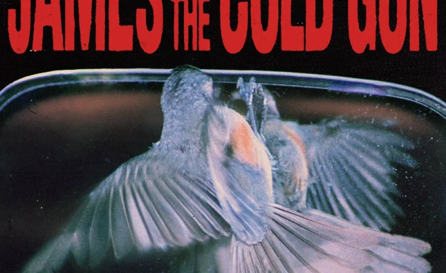 James and the Cold Gun ‘Face in the Mirror’ (Loosegroove Records)