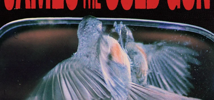 James and the Cold Gun ‘Face in the Mirror’ (Loosegroove Records)