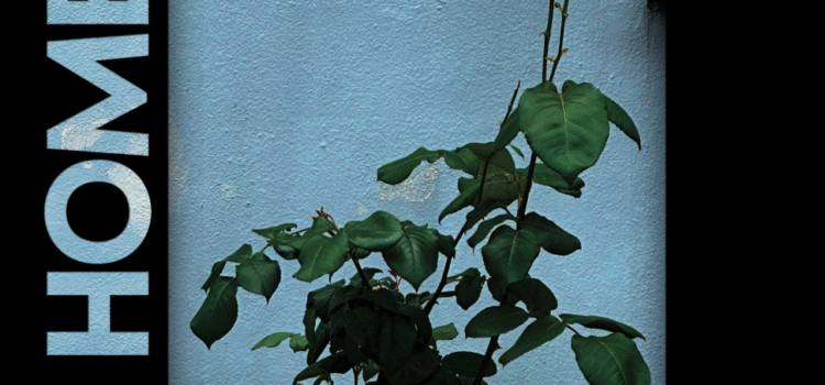 HOME FRONT – ‘Watch It Die’