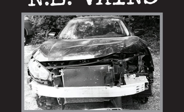 N.E. Vains – ‘Running Down Pylons’ (Big Neck Records)