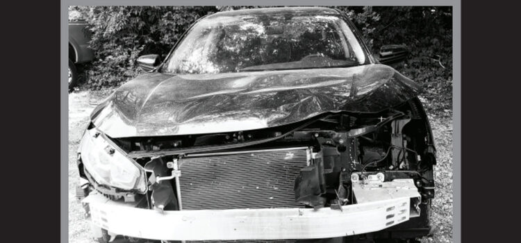 N.E. Vains – ‘Running Down Pylons’ (Big Neck Records)