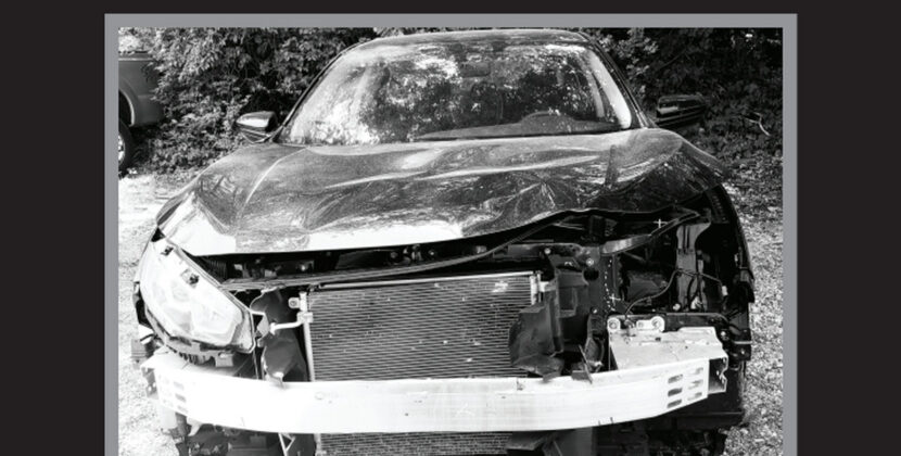 N.E. Vains – ‘Running Down Pylons’ (Big Neck Records)