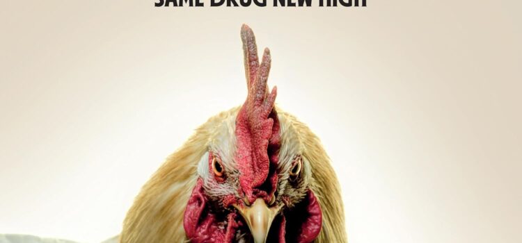 Gluecifer – ‘Same Drug New High’ (Steamhammer)