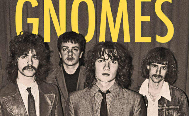 The Gnomes- ‘Introducing The Gnomes’ (Piccadilly/Dogmeat Records)