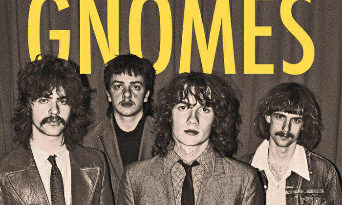 The Gnomes- ‘Introducing The Gnomes’ (Piccadilly/Dogmeat Records)