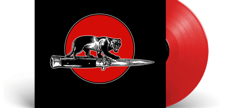 Jim Jones Allstars get into a Cat Fight