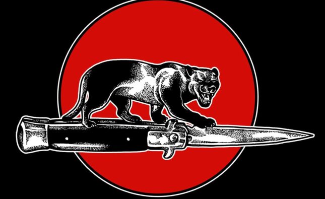 Jim Jones All Stars – ‘Cat Fight’ (Silver Arrow Records)