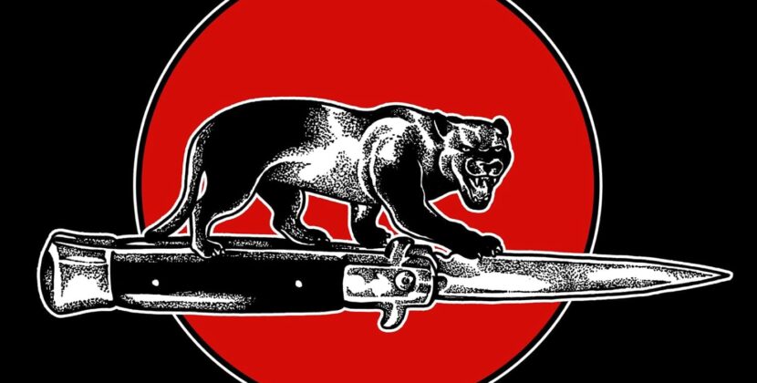 Jim Jones All Stars – ‘Cat Fight’ (Silver Arrow Records)